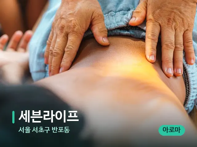 서울 서초구 반포동 세븐라이프 — 마사지 관리를 받는 장면